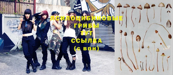 ПСИЛОЦИБИНОВЫЕ ГРИБЫ Нязепетровск