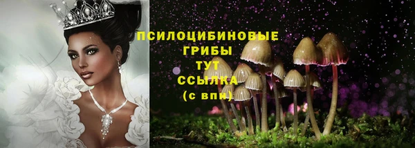 амф Няндома